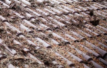 Bellyeoman roof cleaning companies