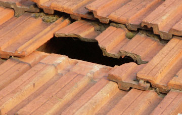 roof repair Bellyeoman, Fife